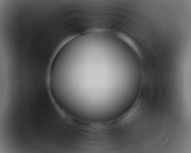X0000093151050200710031424