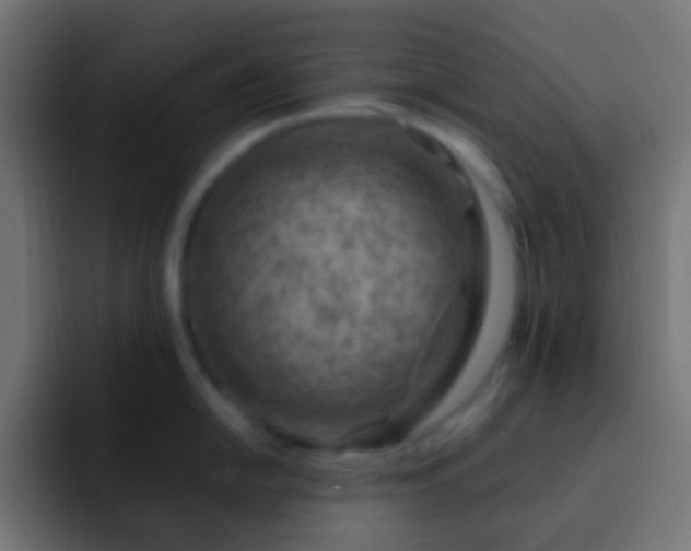 X0000093151054200710031424