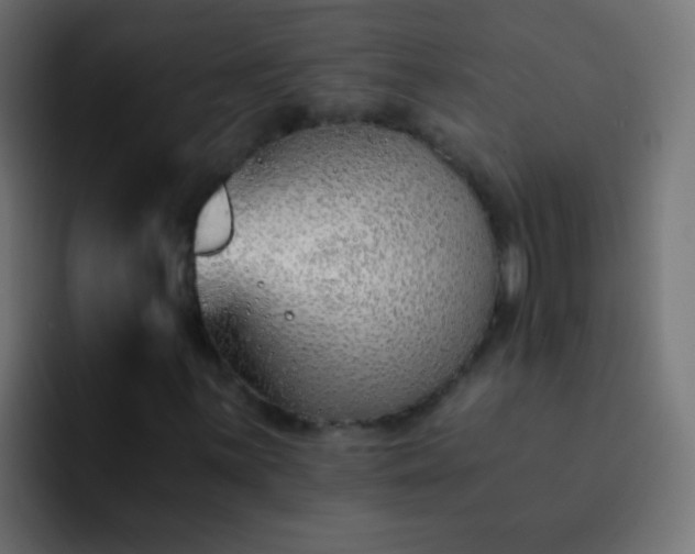 X0000093151059200710031424