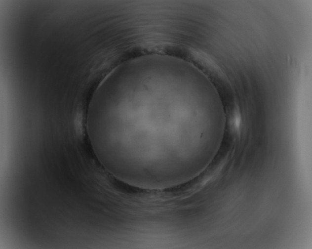 X0000093151060200710031424