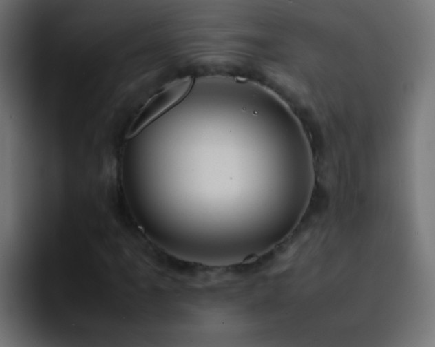 X0000093151061200710031424