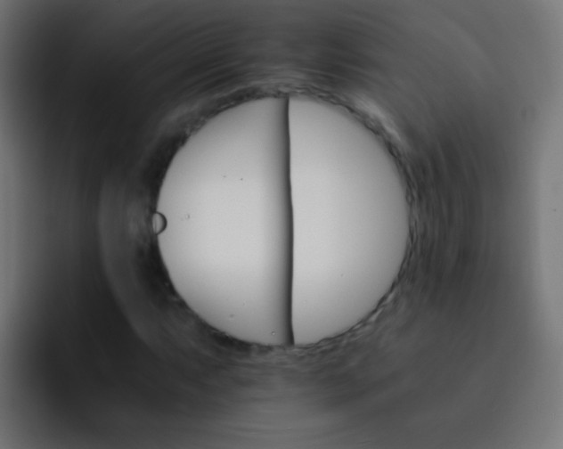 X0000093151063200710031424
