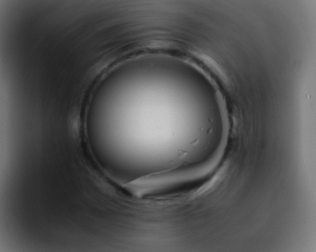 X0000093151065200710031424