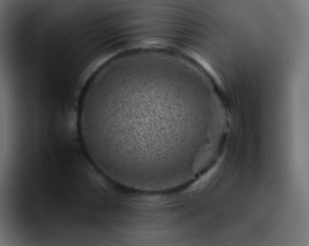 X0000093151066200710031424