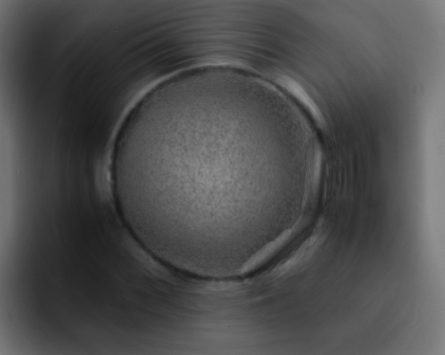X0000093151068200710031424