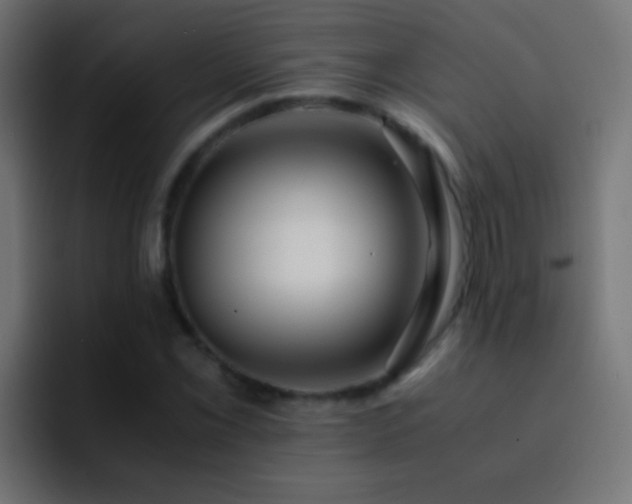 X0000093151069200710031424