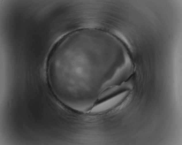 X0000093151071200710031424