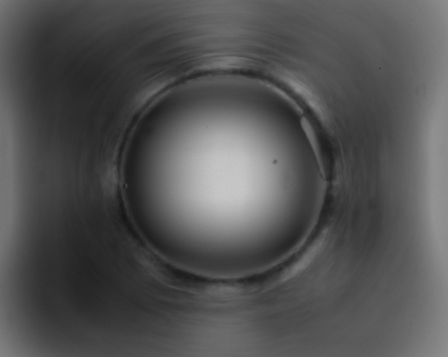 X0000093151073200710031423