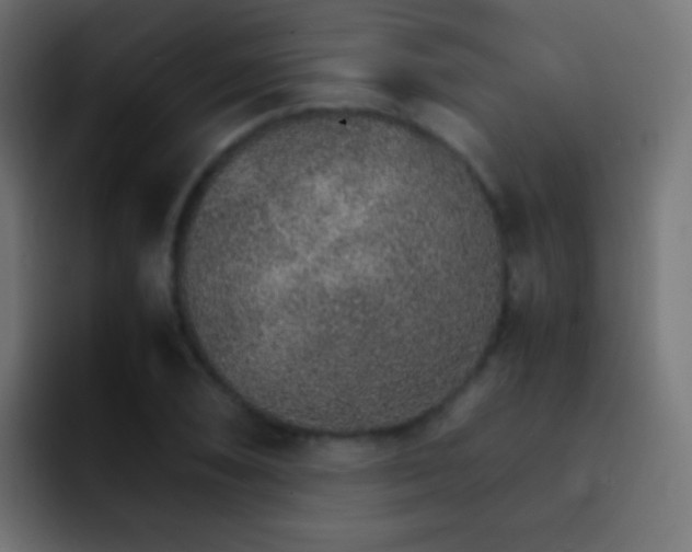 X0000093151074200710031423