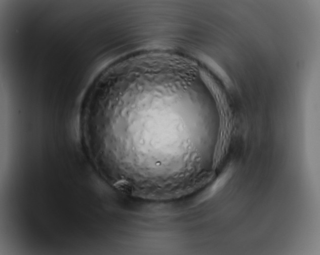 X0000093151075200710031423