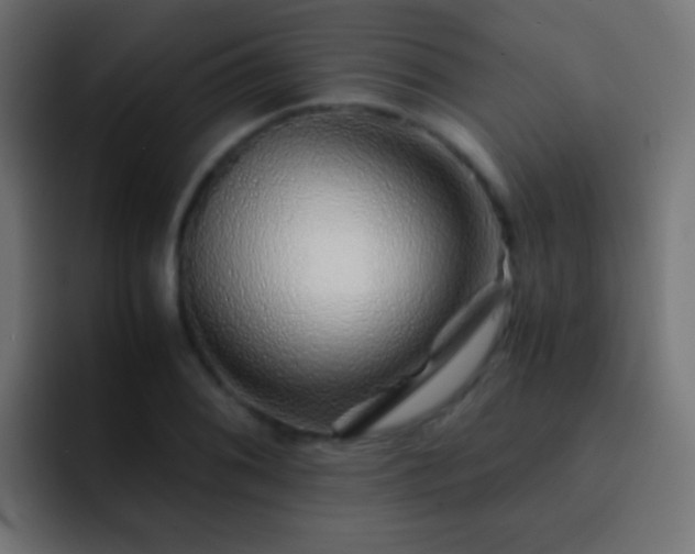 X0000093151076200710031423