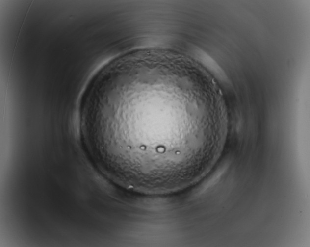 X0000093151079200710031423