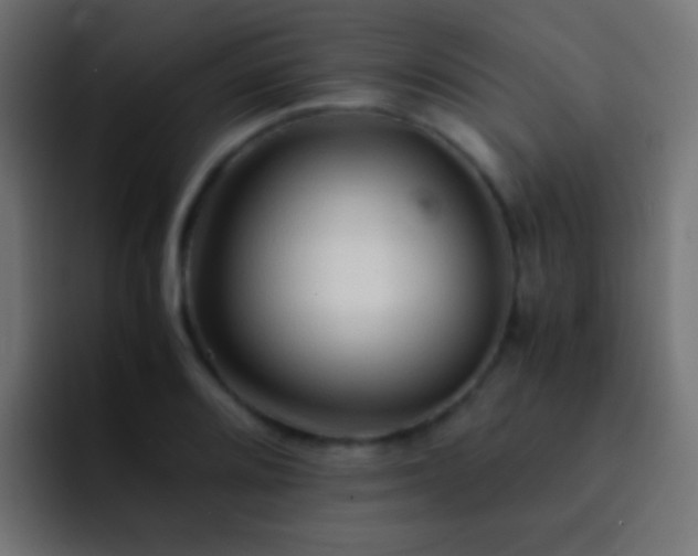 X0000093151080200710031423