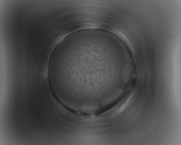 X0000093151081200710031423