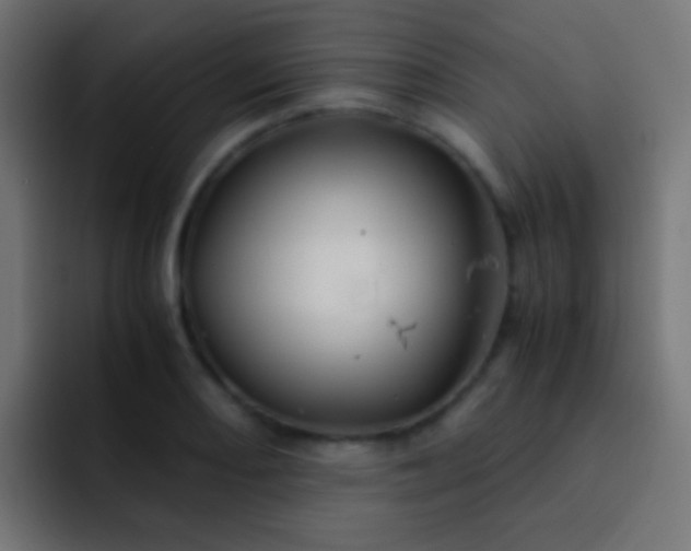 X0000093151082200710031423