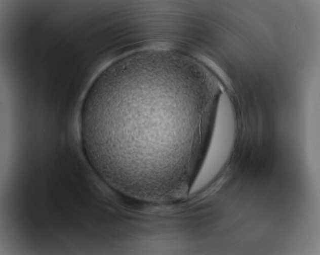 X0000093151083200710031423