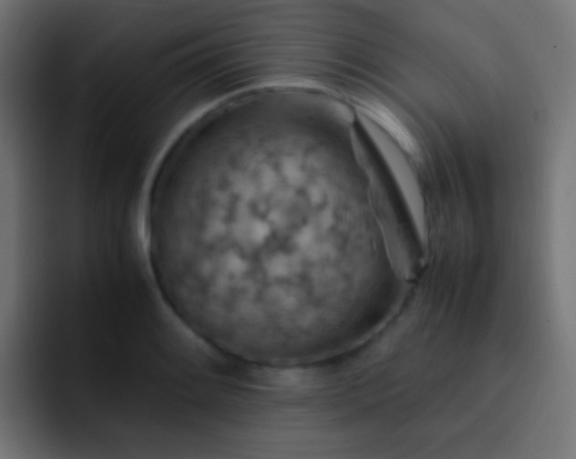 X0000093151084200710031423