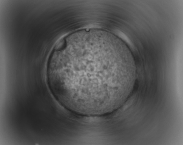 X0000093151087200710031423