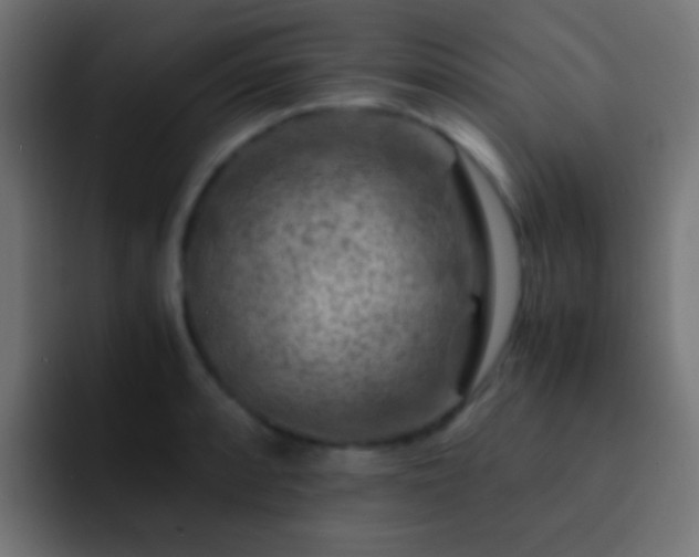 X0000093151088200710031423