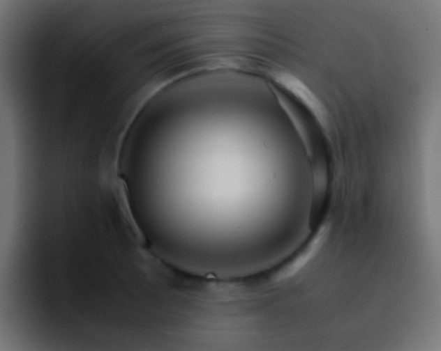 X0000093151089200710031423