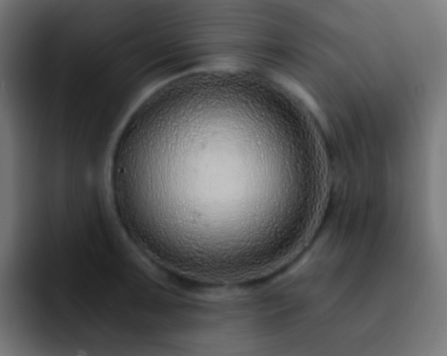 X0000093151091200710031423