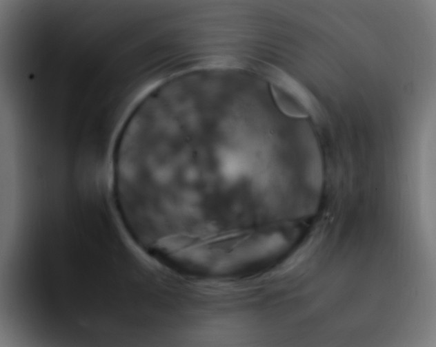 X0000093151095200710031423