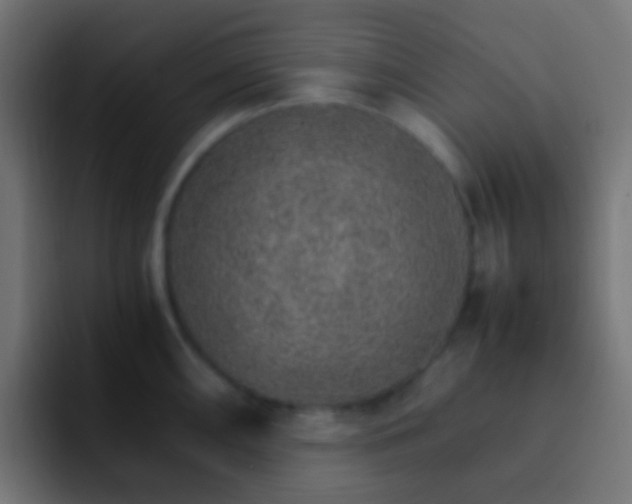 X0000093151098200710031423