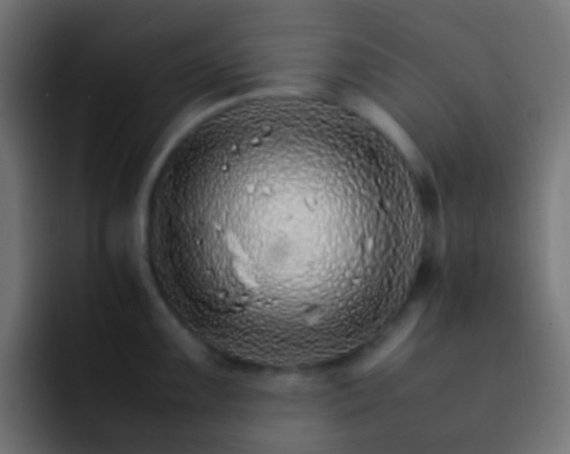 X0000093151099200710031423