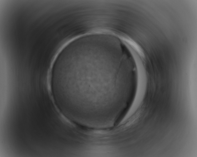 X0000093151102200710031423