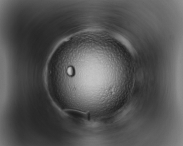 X0000093151103200710031423