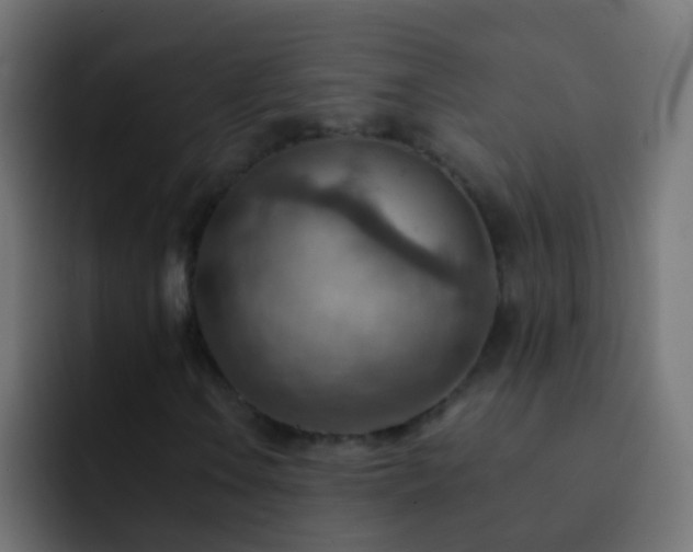 X0000093151106200710031423