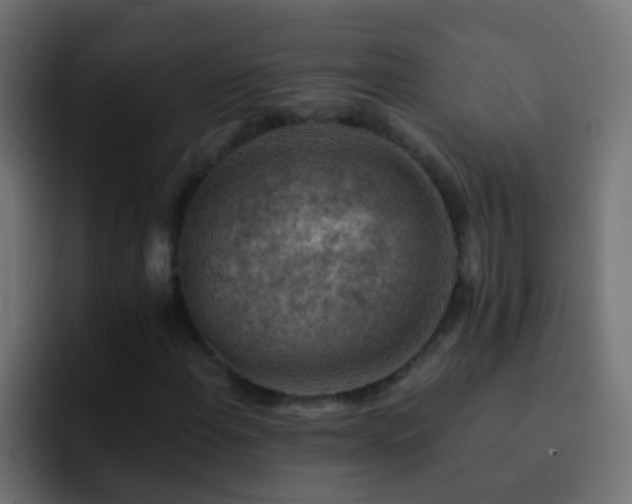 X0000093151108200710031423
