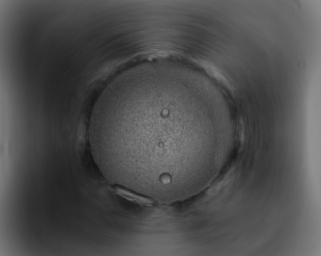 X0000093151110200710031423
