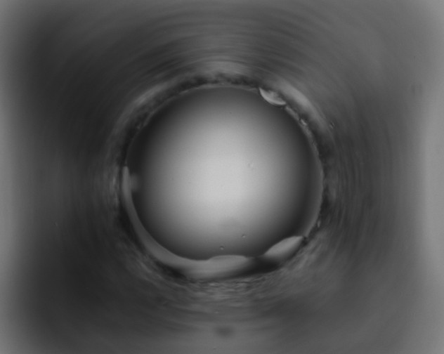 X0000093151112200710031423