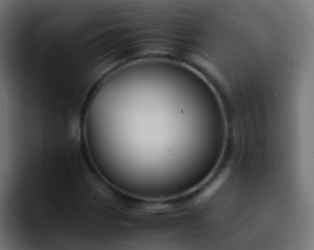 X0000093151113200710031423