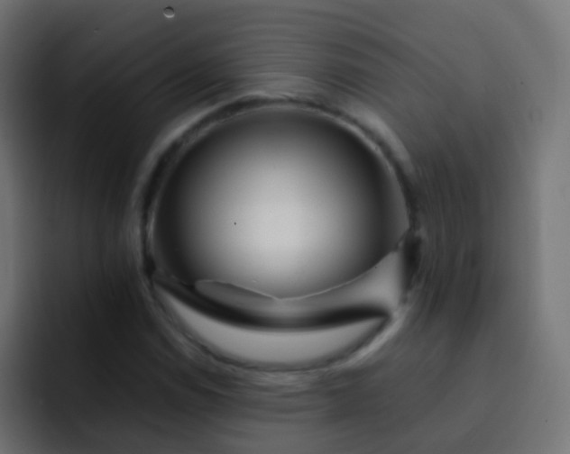 X0000093151114200710031423