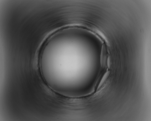 X0000093151116200710031423