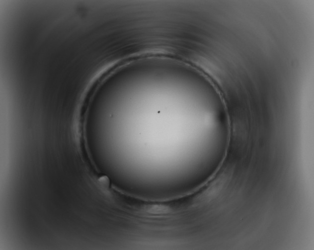 X0000093151119200710031423
