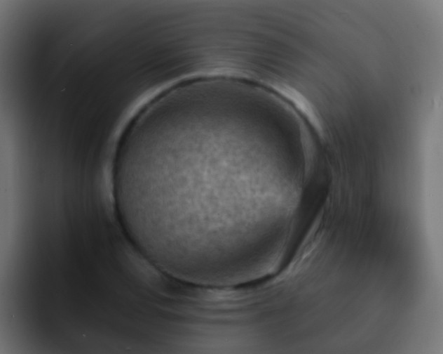 X0000093151120200710031423
