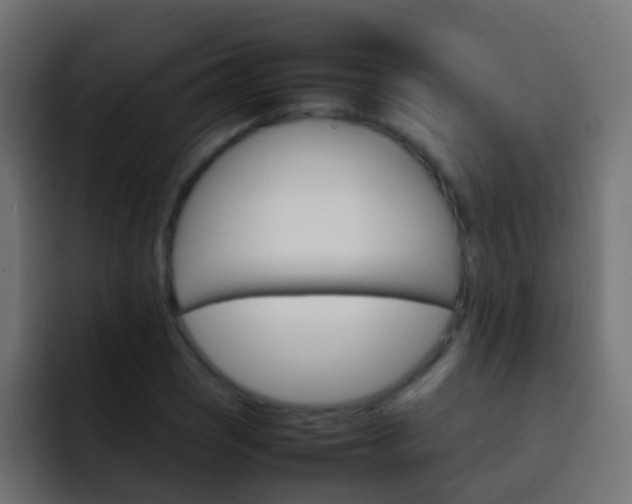 X0000093151121200710031423