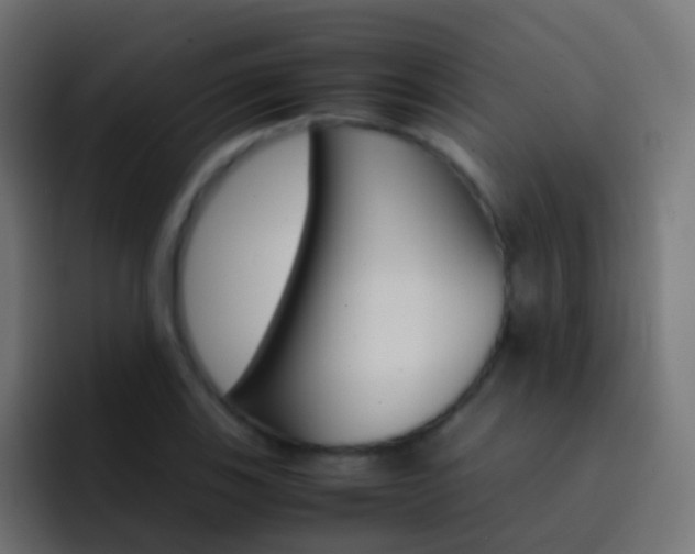 X0000093151123200710031423