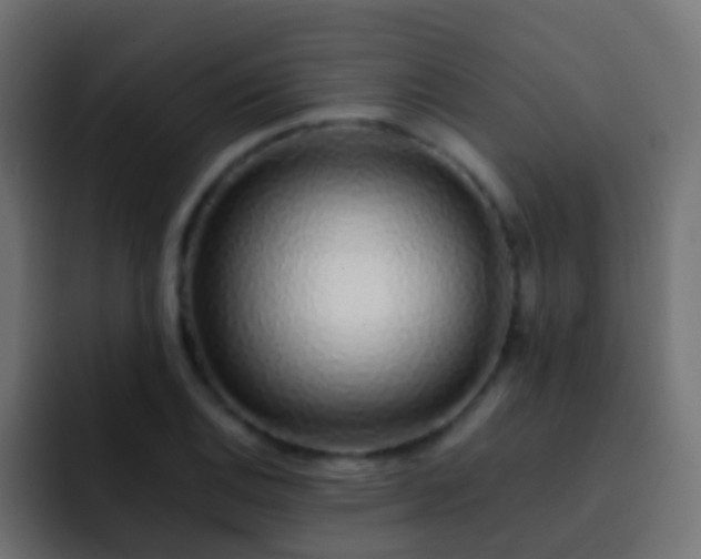 X0000093151124200710031423