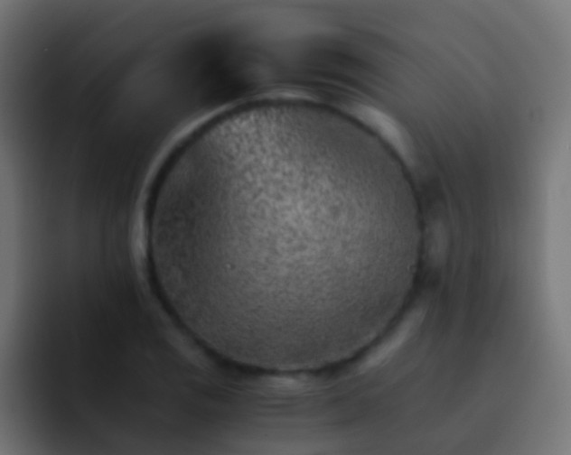 X0000093151125200710031423
