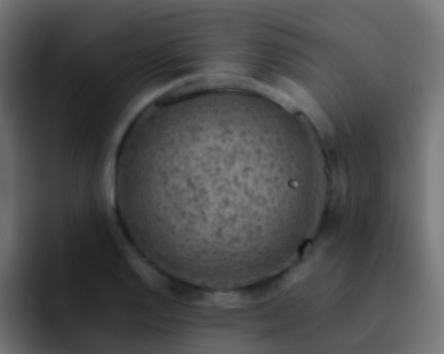 X0000093151128200710031423