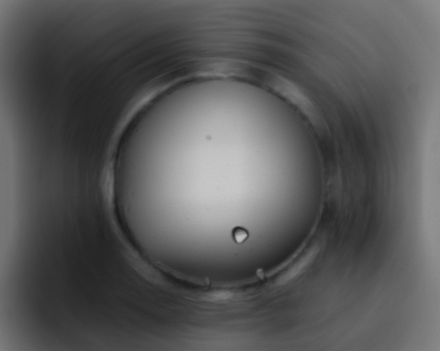 X0000093151130200710031423