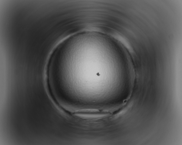 X0000093151133200710031423