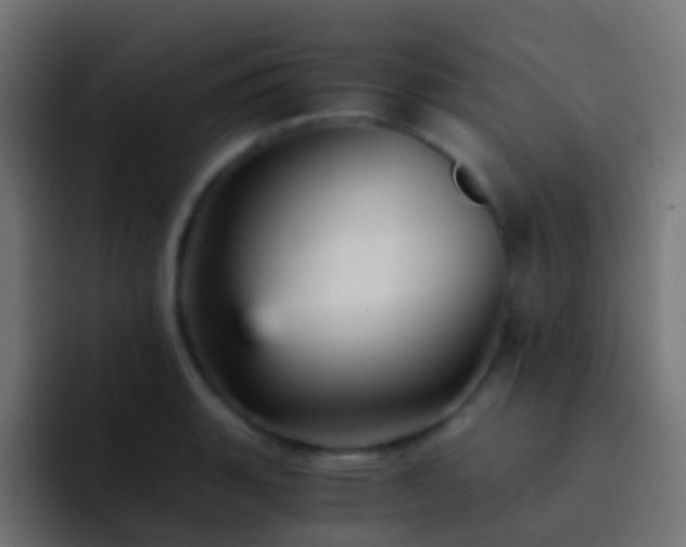 X0000093151135200710031423