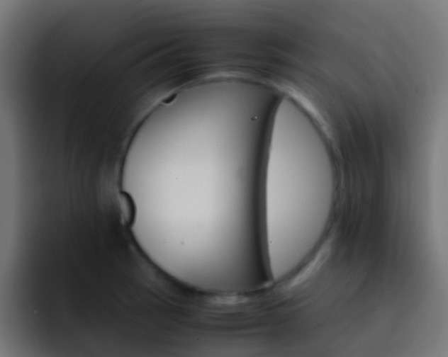 X0000093151137200710031423