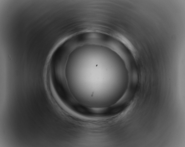 X0000093151138200710031423