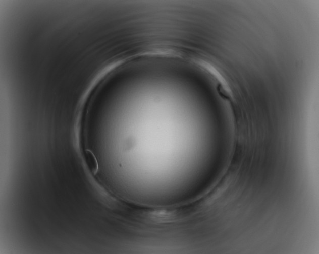 X0000093151139200710031423